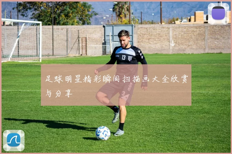 足球明星精彩瞬间扫描画大全欣赏与分享