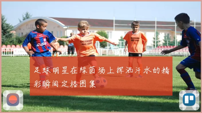 足球明星在绿茵场上挥洒汗水的精彩瞬间定格图集